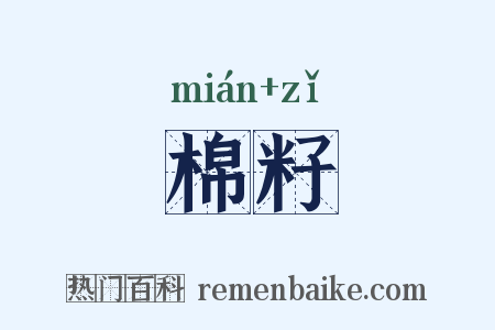 棉籽是什么意思的图片